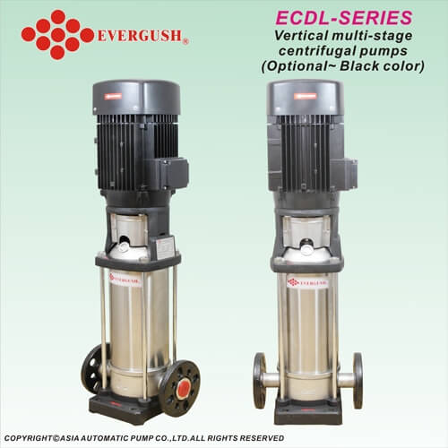 ECDL-4