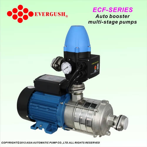 EVERGUSH-EBF-2