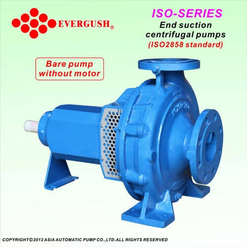 EVERGUSH-ISO-1