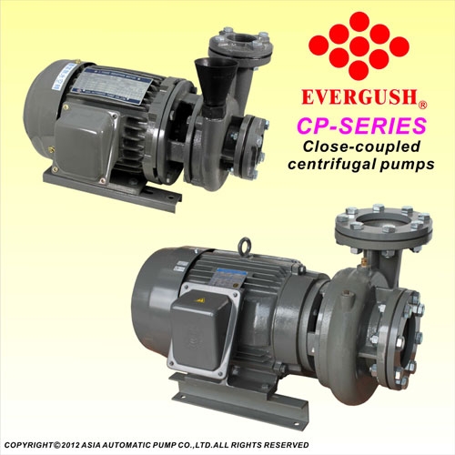 Máy-bơm-trục-ngang-EVERGUSH-CP.jpg