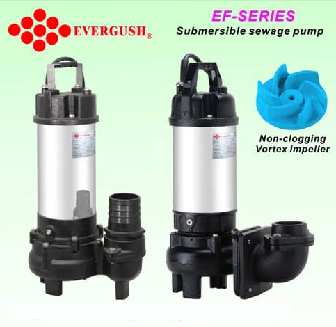 evergush-EF