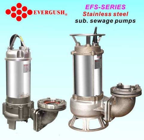evergush-EFS